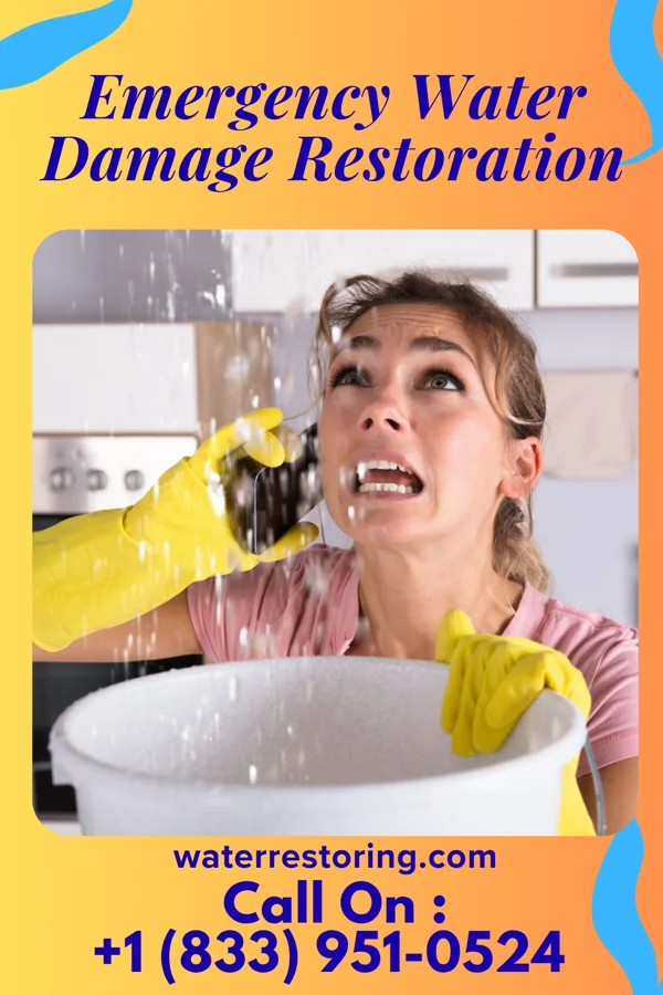 Emergency Water Damage Restoration in Cambridge, MN